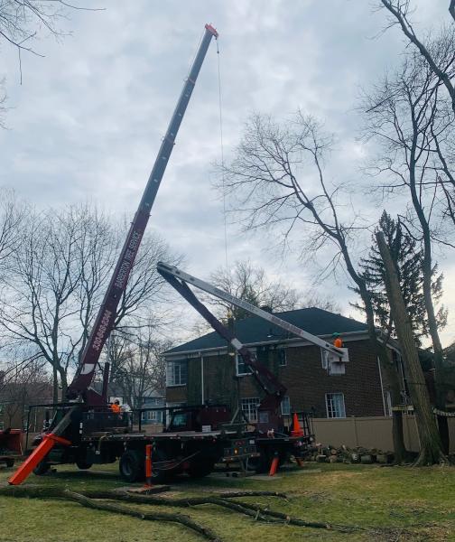 Barberton Tree Service