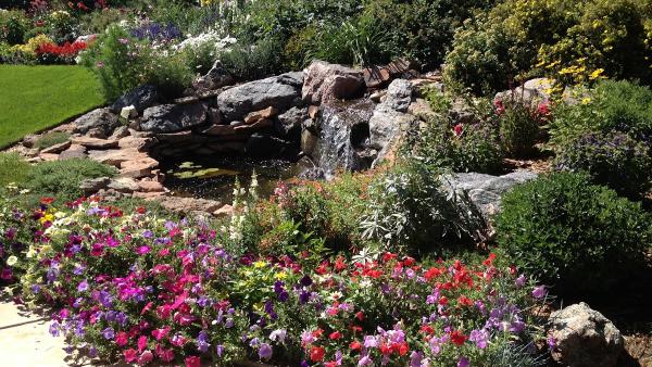 Unique Landscapes and Gardens