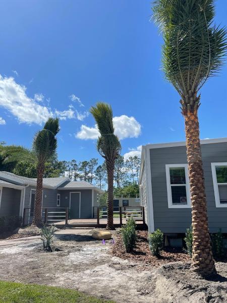 Natural Designs Landscaping