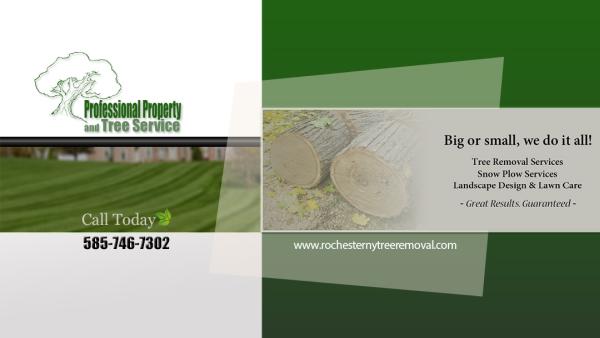 Professional Property Services