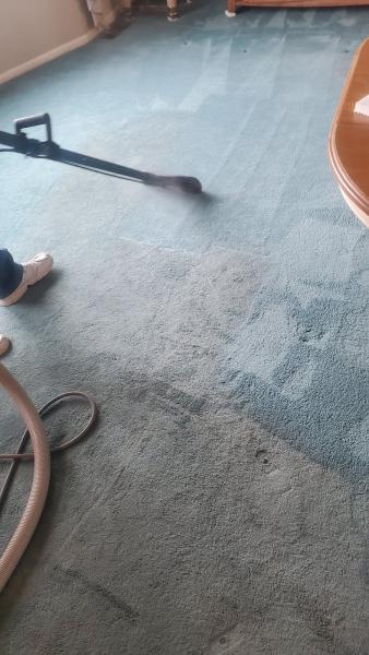 GM Carpet Care
