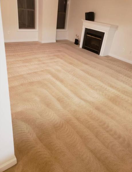 Queen Carpet & Upholstery Cleaning