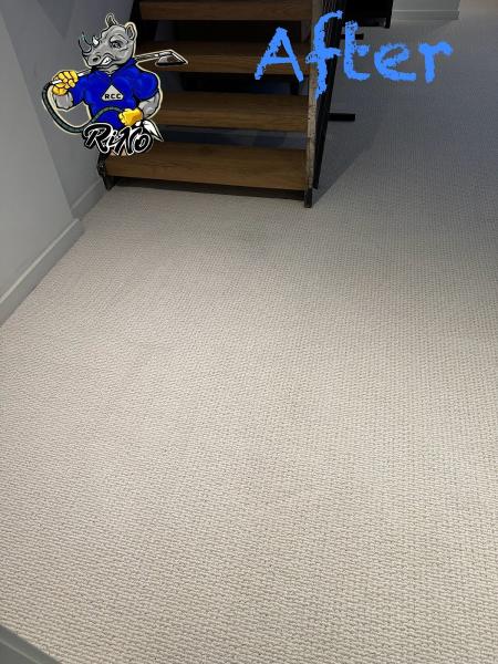 Rino Carpet Cleaning