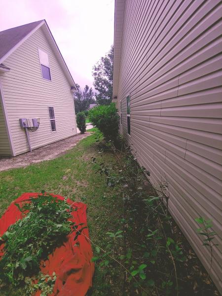Coastal Carolina Landscapes LLC