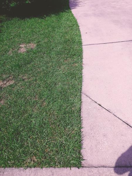 Coastal Carolina Landscapes LLC