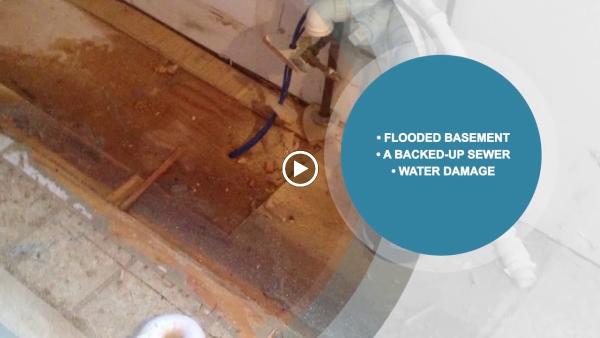 Flood Doctors