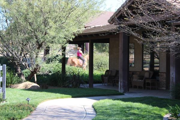 Wynn-Smith Landscape Architecture