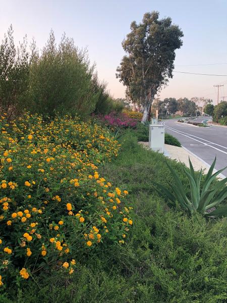 Wynn-Smith Landscape Architecture