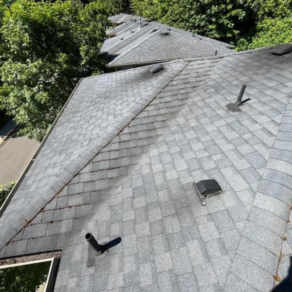 Endurant Roof