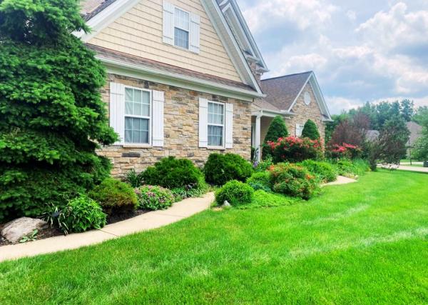 Dorenkott Landscape and Design