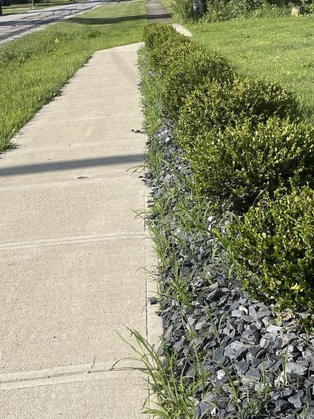 Dorenkott Landscape and Design