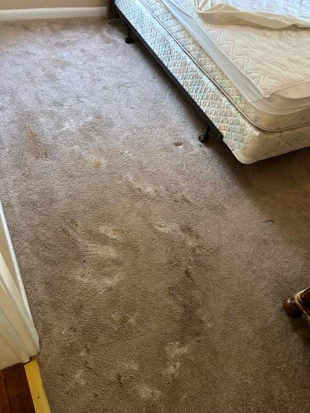 Capital Carpet Cleaning & Flood Restoration