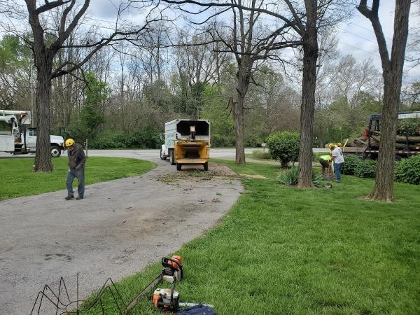 Natural High Tree Service