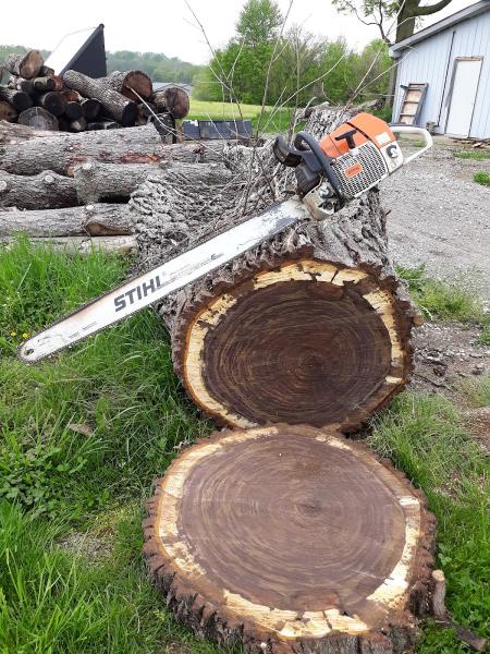 Natural High Tree Service