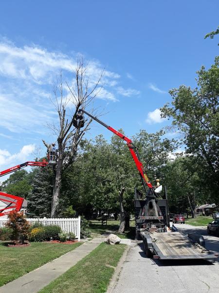 Natural High Tree Service
