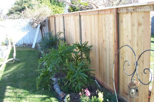 Innovative Fence