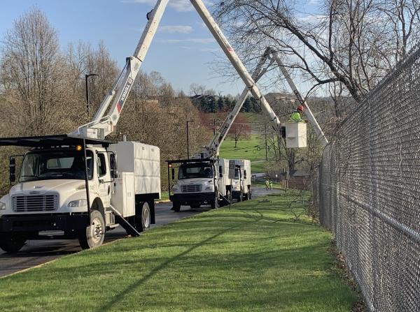 Sidelines Tree Service LLC