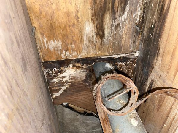 Tennessee Mold Inspectors