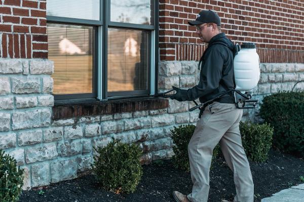Champion Pest & Termite Control