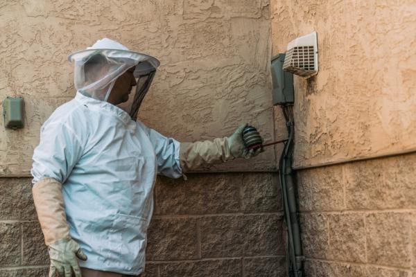 Champion Pest & Termite Control