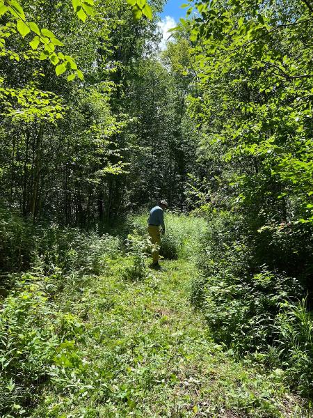 Keystone Tree Service