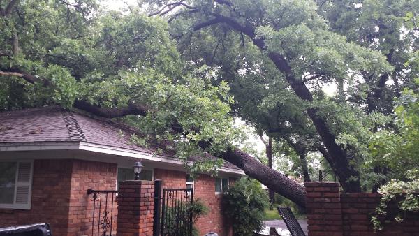 Baker Tree Service