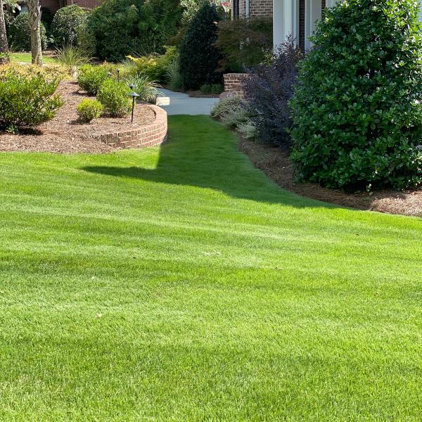 Greenscape Services