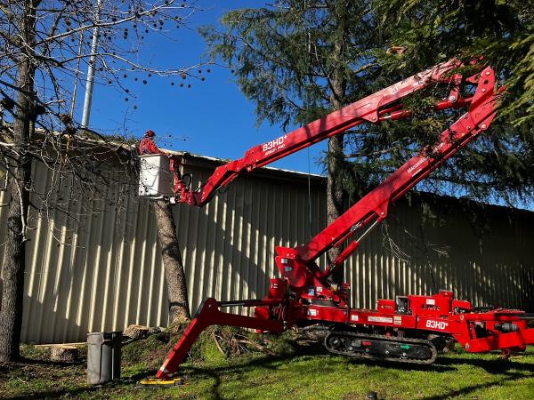 Norcal Arborists Inc.