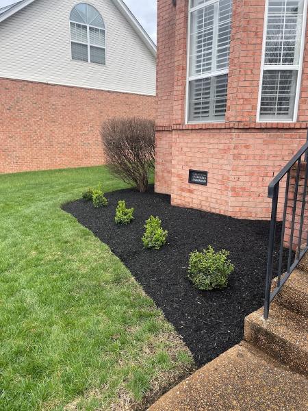 Diamond Lawn Services LLC