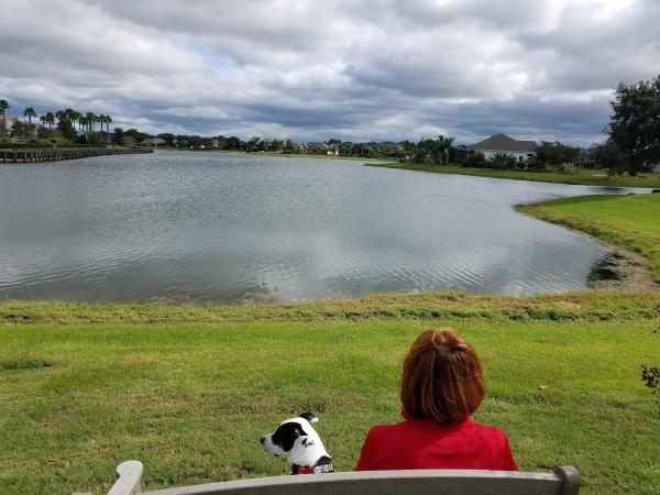 Lakes