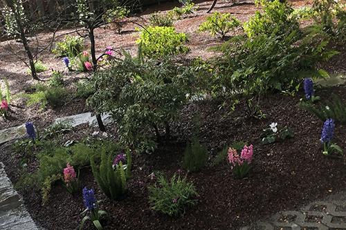 Cisneros Garden Services Inc