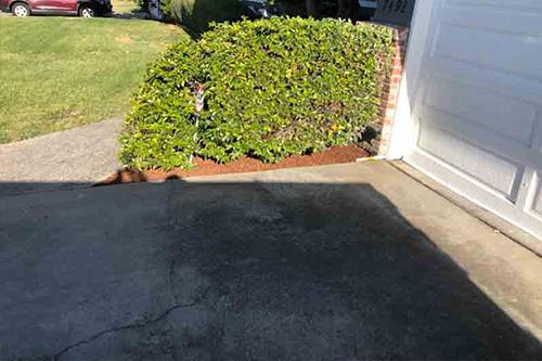 Cisneros Garden Services Inc
