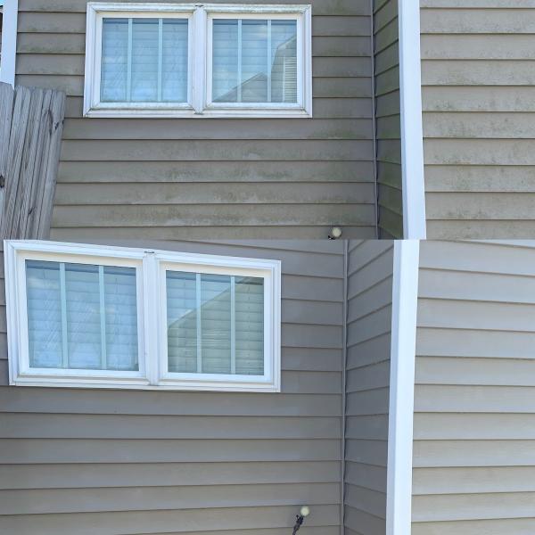 Purity Pressure Washing