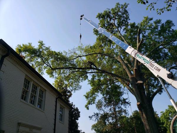 Heartwood Tree Service