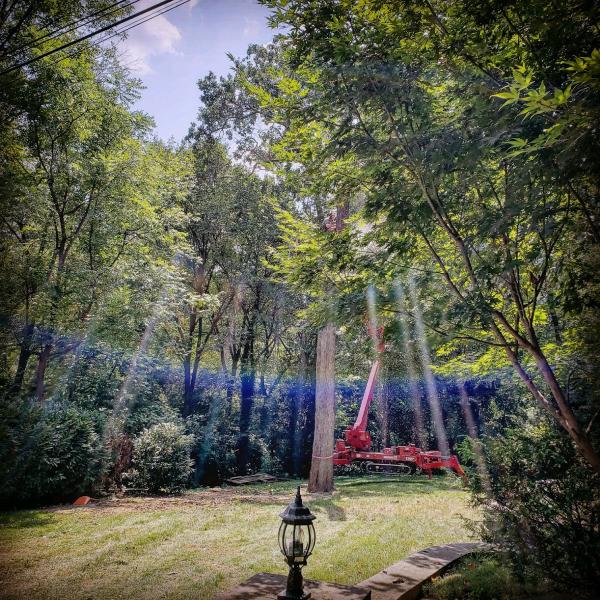 Heartwood Tree Service