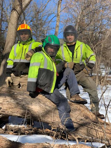 Ivan's Tree Service