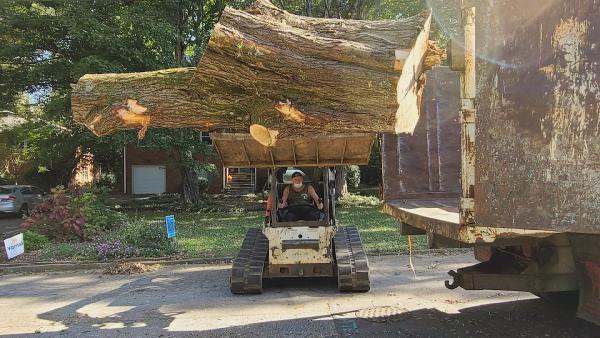 Dekalb Tree Service