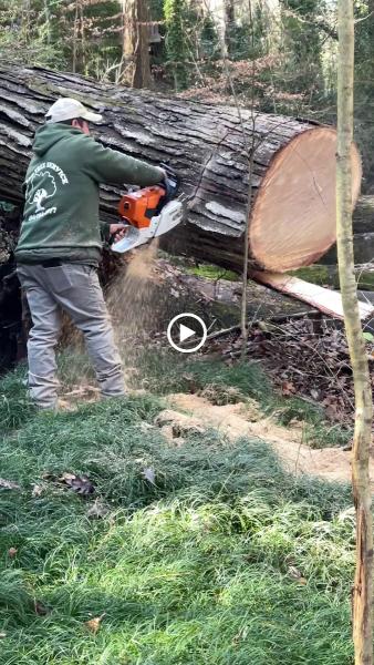 Dekalb Tree Service
