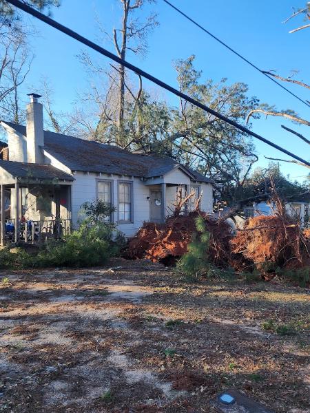 Dekalb Tree Service