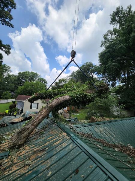 Dekalb Tree Service