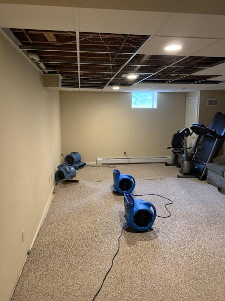 Sabatino's Carpet Cleaning