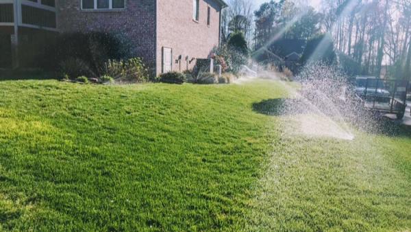 C&W Lights and Lawns LLC