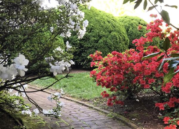 Wheelergreen Lawn Care