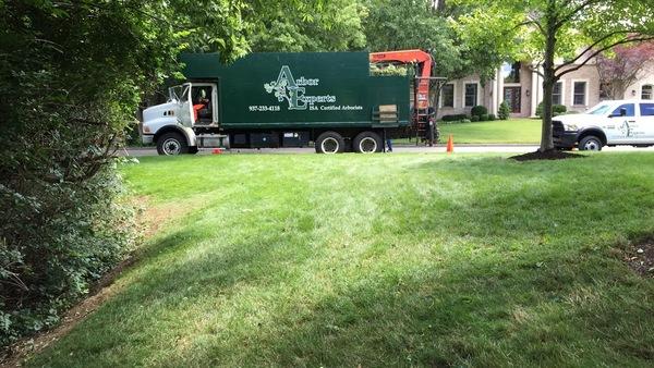 Arbor Experts