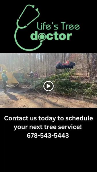 Life's Tree Doctor