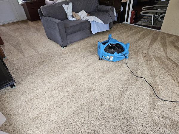 Monster Steamer Carpet Cleaning and Air Duct Cleaning Escondido