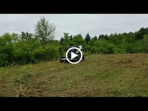 Revive Development Land Services