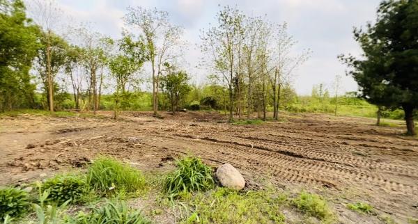 Revive Development Land Services