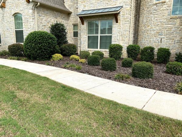 Beyond Lawn Care & Landscaping