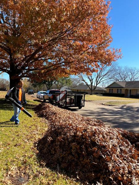 Beyond Lawn Care & Landscaping